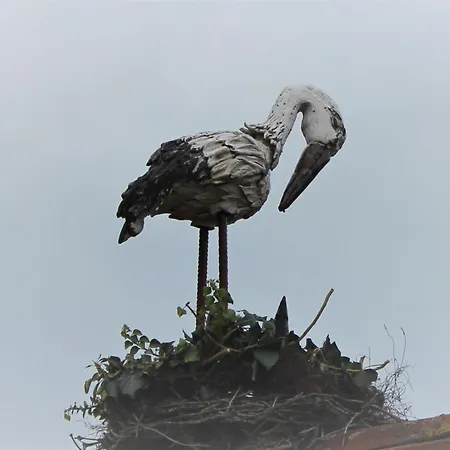 Storchennest 아파트 플라인펠트