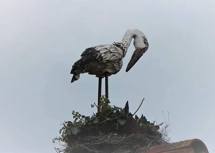 Storchennest 아파트 플라인펠트